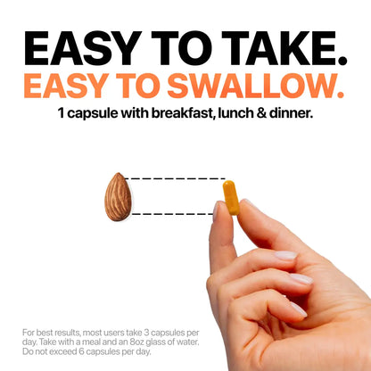 [ONE-TIME OFFER] Buy One, Get TWELVE FREE