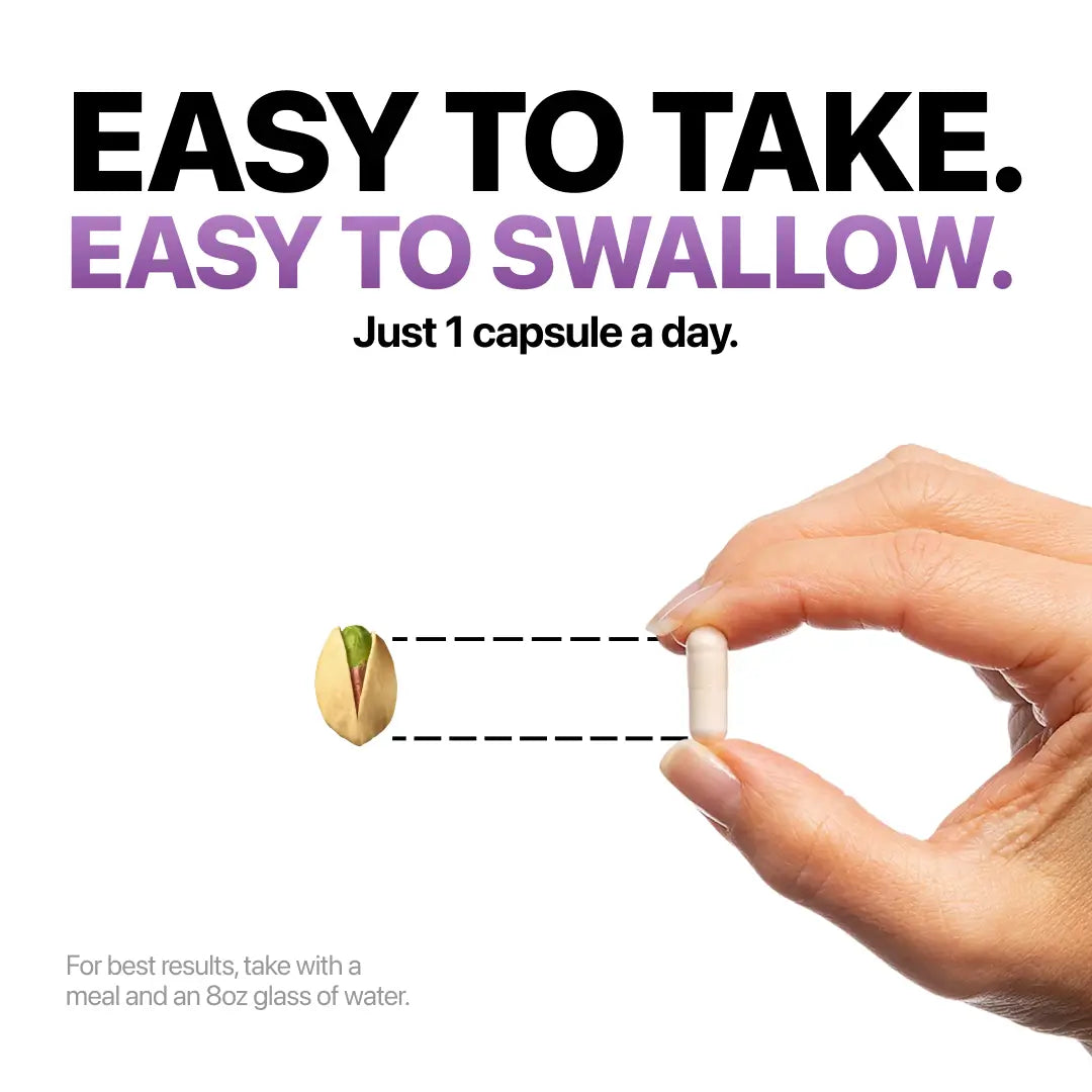 [ONE-TIME OFFER] Buy One, Get TWELVE FREE